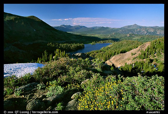 Flowers and Red Lake in the distance, afternoon. Mokelumne Wilderness, Eldorado National Forest, California, USA