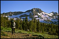 Backpacker  on trail towards Round Top. Mokelumne Wilderness, Eldorado National Forest, California, USA