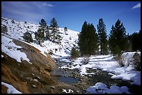 Buckeye Hot Springs in winter. California, USA (color)