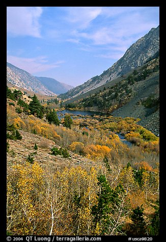 Lundy Canyon in the fall, Inyo National Forest. California, USA (color)