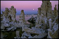 Tufa towers and moon, dusk. Mono Lake, California, USA ( color)