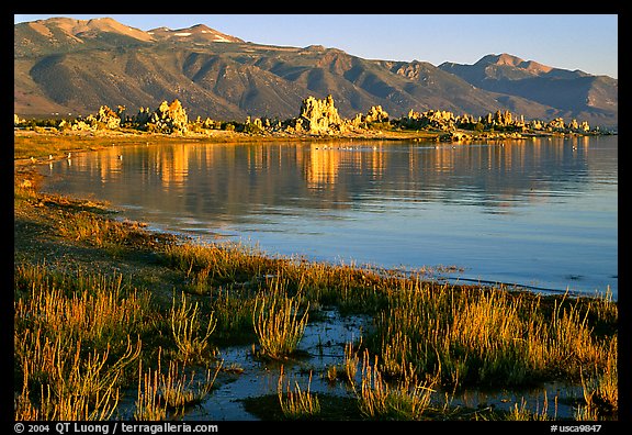 Grasses, tufa, and mountains, early morning. Mono Lake, California, USA (color)