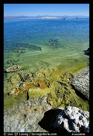 Colorful shores, mid-day. Mono Lake, California, USA