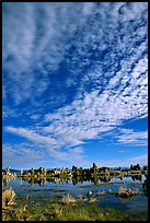 Clouds and Tufa towers, morning. Mono Lake, California, USA (color)