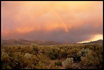 Rainbow and storm over Mono Basin, evening. Mono Lake, California, USA ( color)