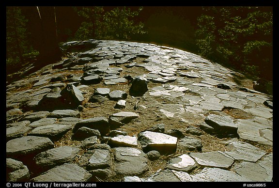 Hexagonal basalt tiles, afternoon, Devils Postpile National Monument. California, USA (color)