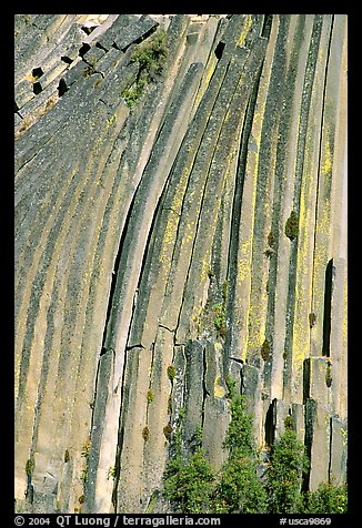 Columns of  basalt, afternoon,  Devils Postpile National Monument. California, USA (color)