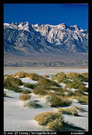 Sierra Nevada Range rising abruptly above Owens Valley. California, USA (color)