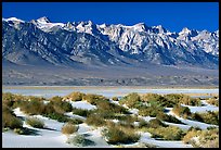 Sierra Nevada mountains rising abruptly above Owens Valley. California, USA ( color)