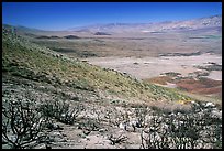 Owens Valley seen from the Sierra Nevada mountains. California, USA ( color)
