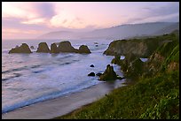 Coast with sea stacks near Rockport. Fort Bragg, California, USA ( color)