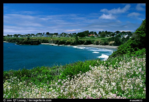 Spring wildflowefrs and Ocean, town on a bluff. Mendocino, California, USA (color)