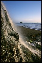 Alamere Falls, afternoon. Point Reyes National Seashore, California, USA ( color)
