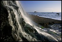 Alamere Falls and beach. Point Reyes National Seashore, California, USA ( color)