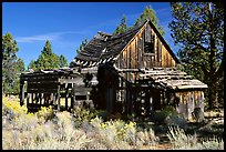 Abandoned wooden cabin. California, USA (color)