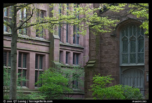 Old Campus buildings. Yale University, New Haven, Connecticut, USA