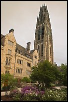 Harkness Tower. Yale University, New Haven, Connecticut, USA