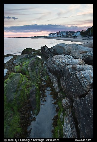Algae-covered rocks and beach houses, Westbrook. Connecticut, USA