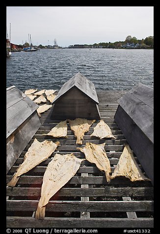 Fish being dried next to Mystic River. Mystic, Connecticut, USA (color)