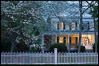 White picket fence, dogwoods, and house at dusk, Old Lyme. Connecticut, USA