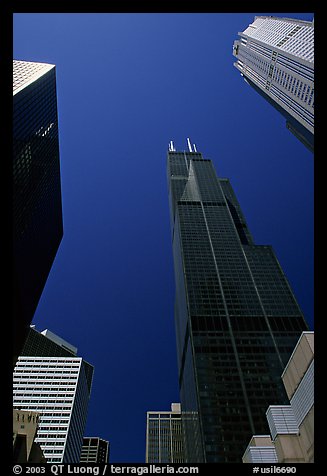 Upwards views of Sears tower and  skyscrappers. Chicago, Illinois, USA (color)