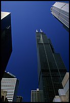 Upwards views of Sears tower and  skyscrappers. Chicago, Illinois, USA ( color)