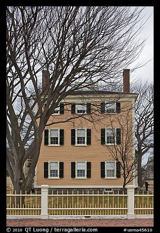 Bare trees and Hawkes House, Salem Maritime National Historic Site. Salem, Massachussets, USA
