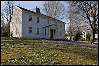 Historic house with early blooms in front yard, Sandwich. Cape Cod, Massachussets, USA ( color)