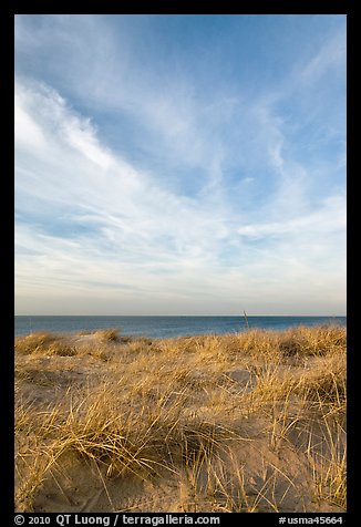 Dunegrass and clouds, Race Point Beach, Cape Cod National Seashore. Cape Cod, Massachussets, USA (color)