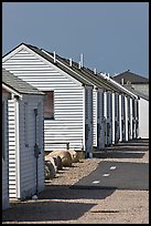 Beach Cottages, Truro. Cape Cod, Massachussets, USA ( color)