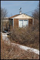 Cottage with weatherwane, Truro. Cape Cod, Massachussets, USA (color)