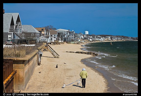 Woman walking two dogs on beach in winter, Provincetown. Cape Cod, Massachussets, USA (color)