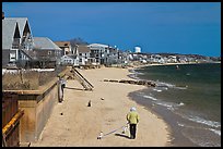 Woman walking two dogs on beach in winter, Provincetown. Cape Cod, Massachussets, USA ( color)