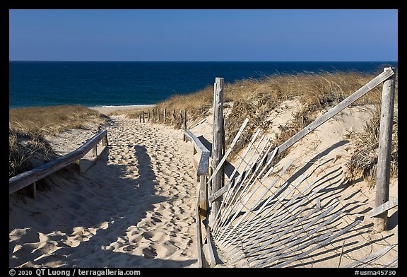 Path to beach and ocean framed by sand fences, Cape Cod National Seashore. Cape Cod, Massachussets, USA