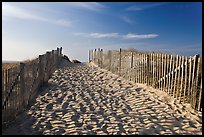 Path between sand fences, Cape Cod National Seashore. Cape Cod, Massachussets, USA ( color)