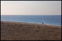 Distant couple on beach, Cape Cod National Seashore. Cape Cod, Massachussets, USA