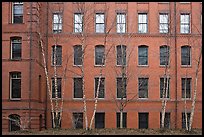 Facade of brick building, Harvard University, Cambridge. Boston, Massachussets, USA