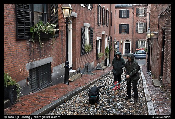 Women walking dog on rainy day, Beacon Hill. Boston, Massachussets, USA
