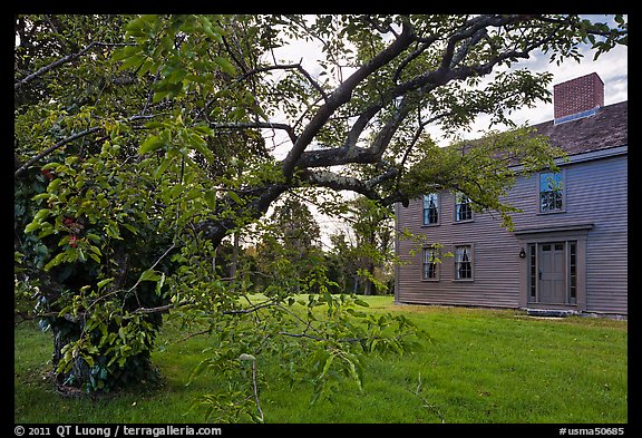 Tree and Samuel Brooks House, Minute Man National Historical Park. Massachussets, USA (color)