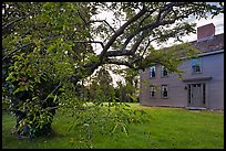 Tree and Samuel Brooks House, Minute Man National Historical Park. Massachussets, USA