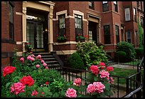 Roses and brick houses on Beacon Hill. Boston, Massachussets, USA (color)