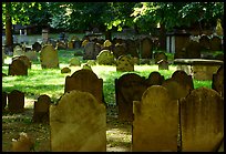 Old headstones in Copp Hill cemetery. Boston, Massachussets, USA ( color)