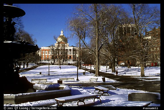 Boston common in winter. Boston, Massachussets, USA (color)