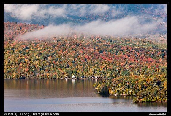 Shore, autumn forest, and clouds. Maine, USA