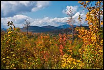 Autumn landscape with colorful leaves and distant mountains. Maine, USA ( color)