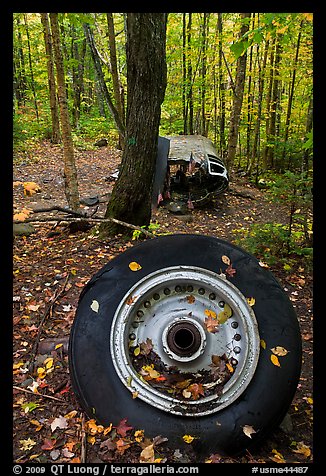 Wheel and fuselage part from crashed B-52 in forest. Maine, USA (color)
