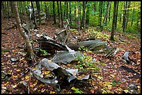 B-52 wreck scattered in autum forest. Maine, USA
