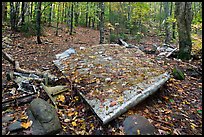 Pieces of B-52 wreckage lie scattered on Elephant Mountain. Maine, USA (color)