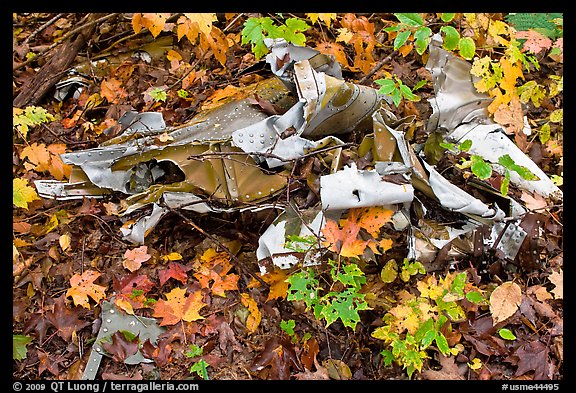 Autumn leaves and cluster of mangled aluminum from B-52 crash. Maine, USA (color)