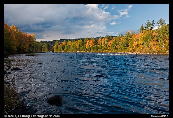 Fast-flowing Penobscot River and fall foliage. Maine, USA (color)